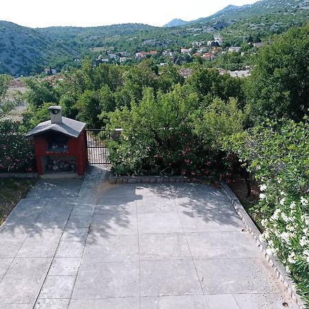Villa Alexa Cesarica Exterior photo