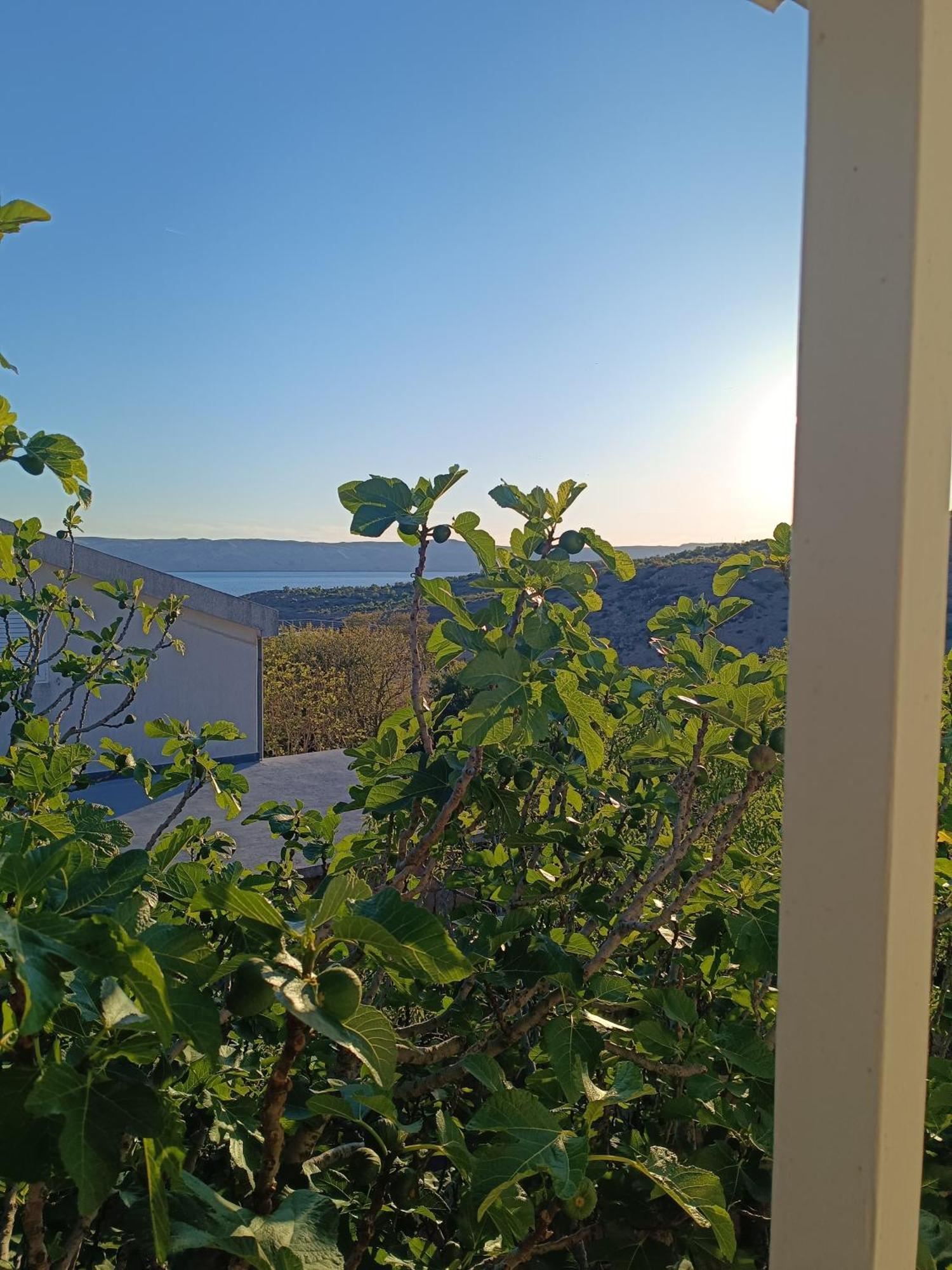 Villa Alexa Cesarica Exterior photo